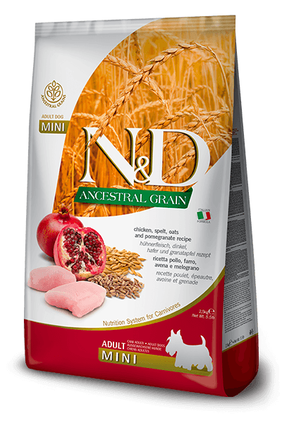N&D Ancestral Grain Mini Adult 7kg. - piletina, spelta, ovas i šipak