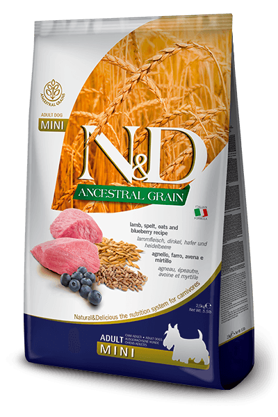 N&D Ancestral Grain Mini Adult 7kg. - jagnjetina, spelta, ovas i borovnica