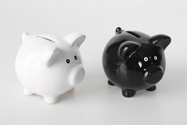 Kasica Prasica Keramicka