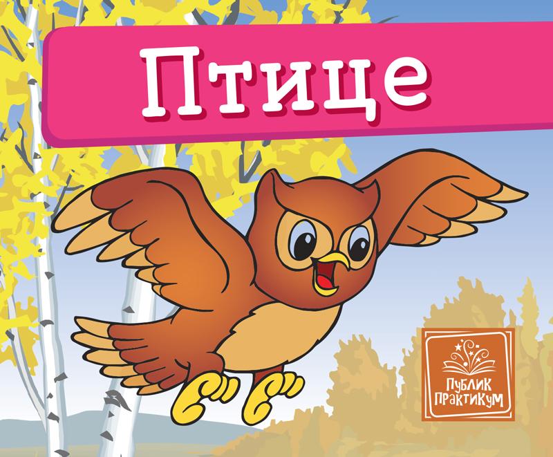 Mala Kartonska Slikovnica Ptice