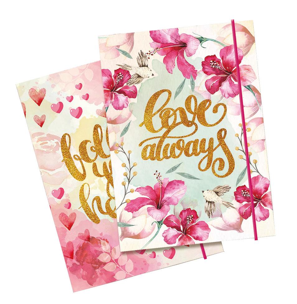 NFascikla Mp Sa Gumom Dream465