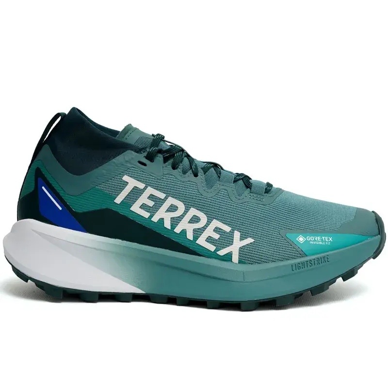 Adidas muške patike Terrex Agravic Gtx P, zelene