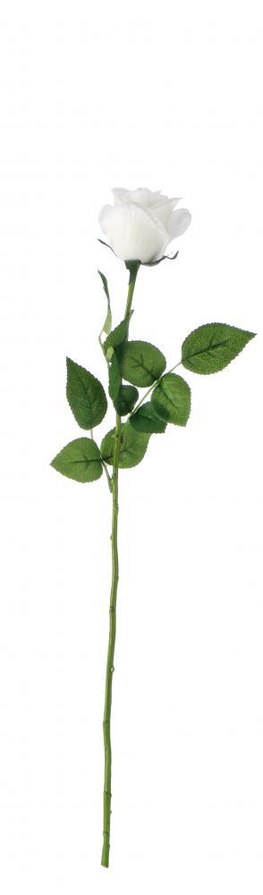 Cvijet Ruza Bijela Cm57 103992