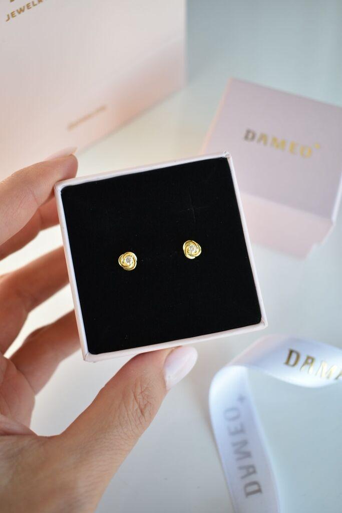 Dameo Minđuše Rose Sparkle - srebro 925 sa pozlatom i cirkon