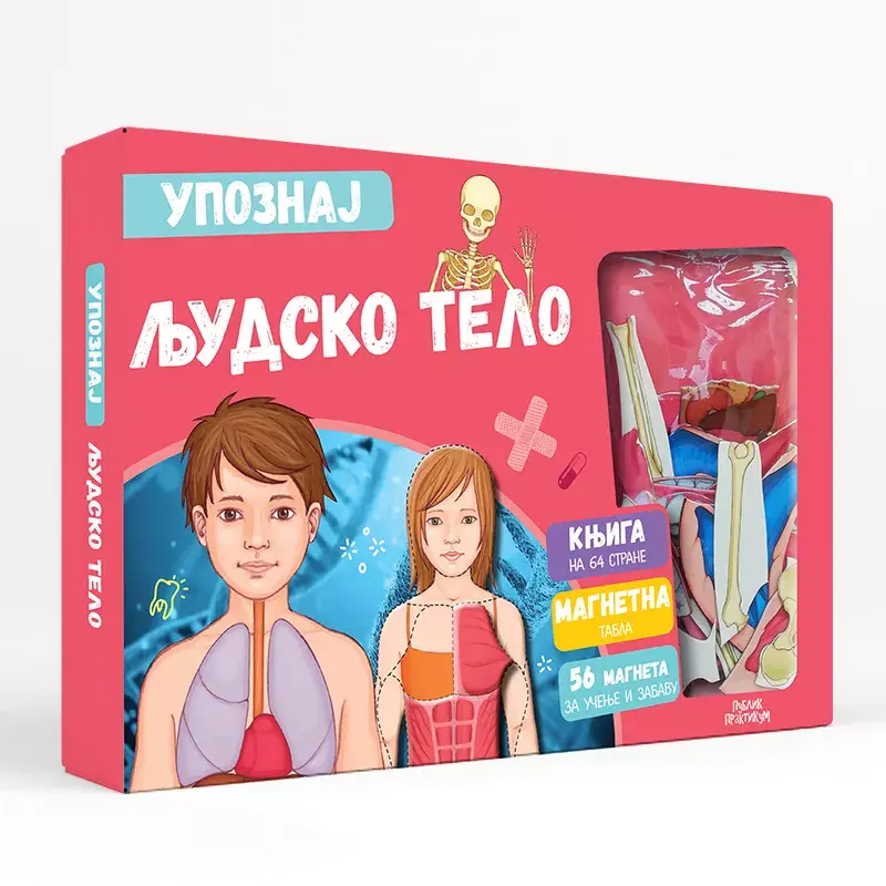 Upoznaj Ljudsko Telo Sa Magnetima Publik Praktikum