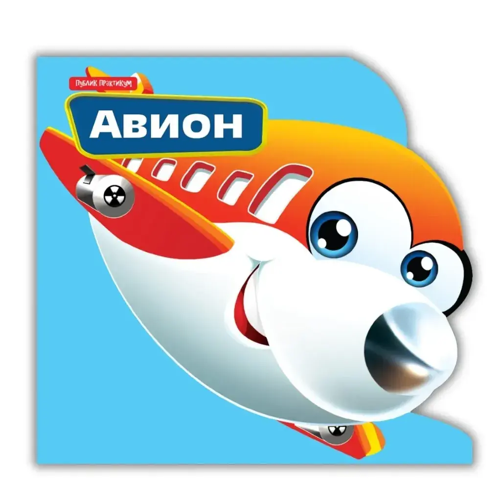 Mali Drugari-Avion Publik Praktikum