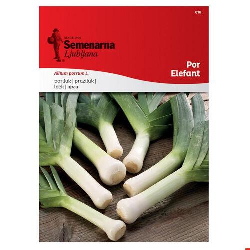 Semenarna Ljubljana Sjeme za luk Elefant Sem22 616