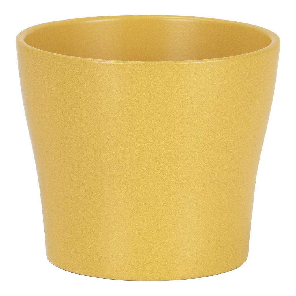 Saksija Curcuma 808/19, Žuta