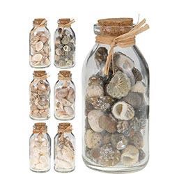 Progarden Dekorativne Školjke U Staklenoj Tegli 4,5X11,5Cm