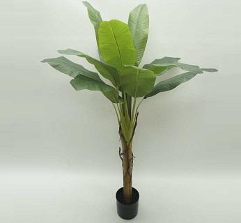 Chi-Na Arts Vještačka Biljka Banana 155Cm