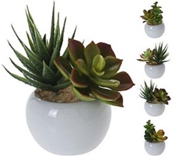 Progarden Vještačka Biljka Succulent 11Cm U Keramičkoj Saksiji
