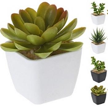 Progarden Vještačka Biljka Succulent 11Cm U Plastičnoj Saksiji