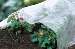 Papillon Agrotekstil Platno,Zaštita Od Hladnoće 30Gr/M2 2X5M