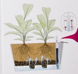 Indikator nivoa vode za saksiji 2.0 MOSAIC WATER LEVEL