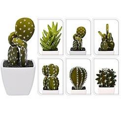 Progarden Vještačka Biljka Kaktus 11,5Cm U Saksiji 5,5Cm