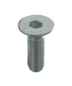 FRIULSIDER Šraf imbus DIN7991 10.9 M10x30mm K100