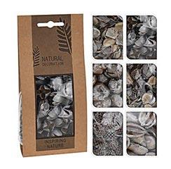 Progarden Dekorativno Suvo Drveće 150Gr U Kartonskom Pakovanju