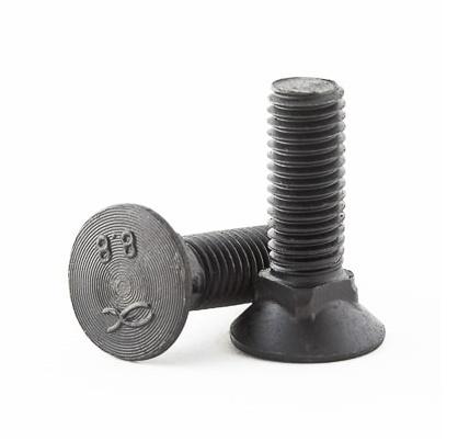 Šraf za plug DIN608 8.8 M12x40 K-100