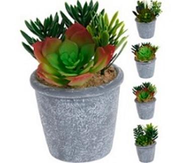 Progarden Vještačka Biljka Secculent 15Cm U Cementnoj Saksiji 9Cm