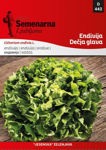 Semenarna Ljubljana Sjeme Endevija Djecja Glava 442