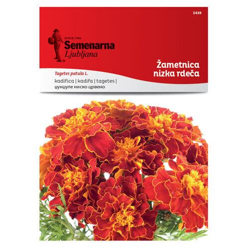 Semenarna Ljubljana Sjeme Kadifa 5438, Niska, Crvena