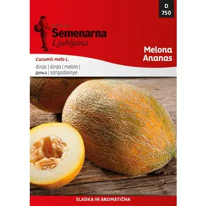 Semenarna Ljubljana Sjeme dinje 750 Pipun