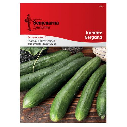 Semenarna Ljubljana Sjeme krastavca 602 Gergana