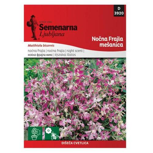 Semenarna Ljubljana Sjeme noćna frajla 3920