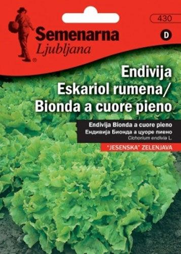 Semenarna Ljubljana Sjeme endevija 430 Bionda A Cuore