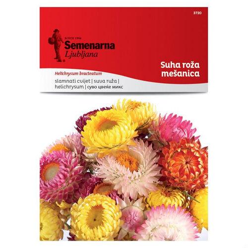 Semenarna Ljubljana Sjeme Helichrysum 3720