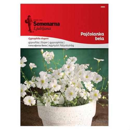 Semenarna Ljubljana Sjeme Gipsofil 3665, BijelI