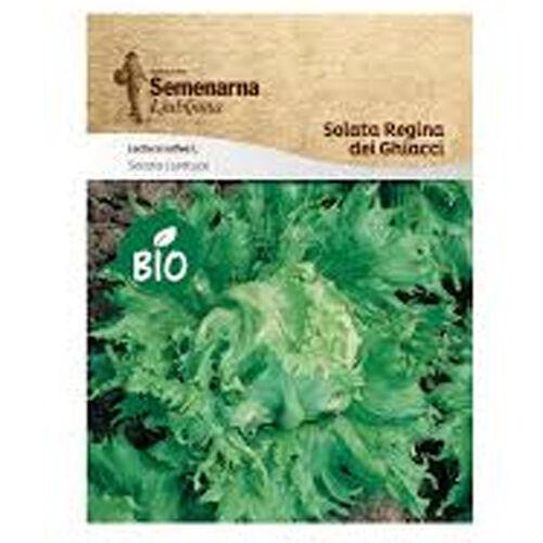 Semenarna Ljubljana Sjeme salate 365 Regina