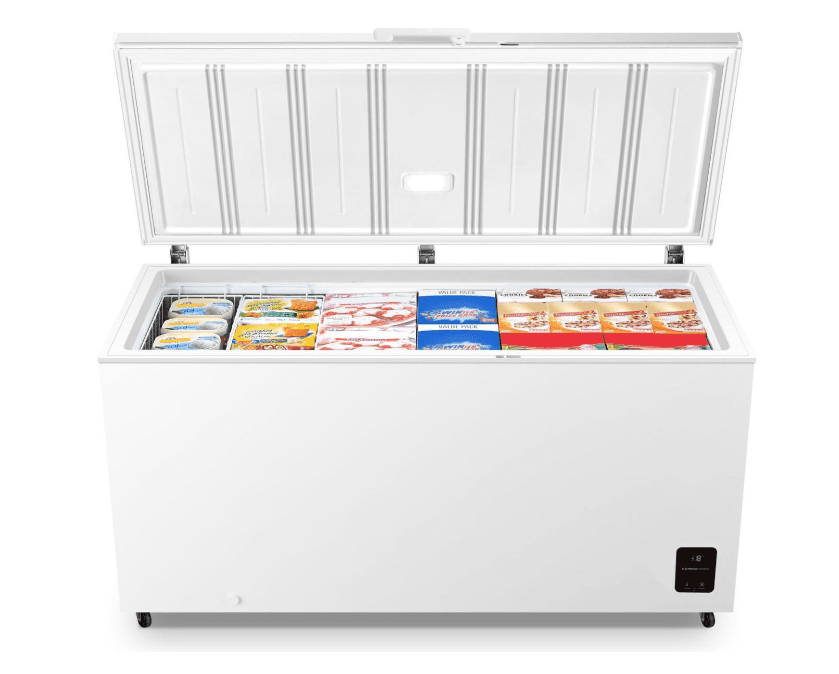 Gorenje Zamrzivač FH50EAW-20012818