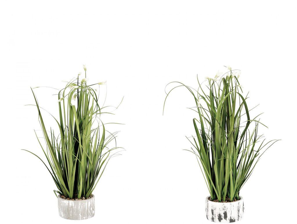 Ukrasna Trava U Saksiji  D13,5Xh60 75421