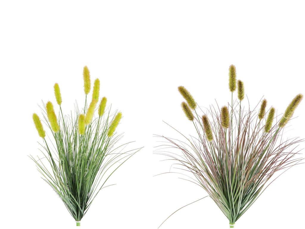 Ukrasna Trava U Saksiji Cm60 107374