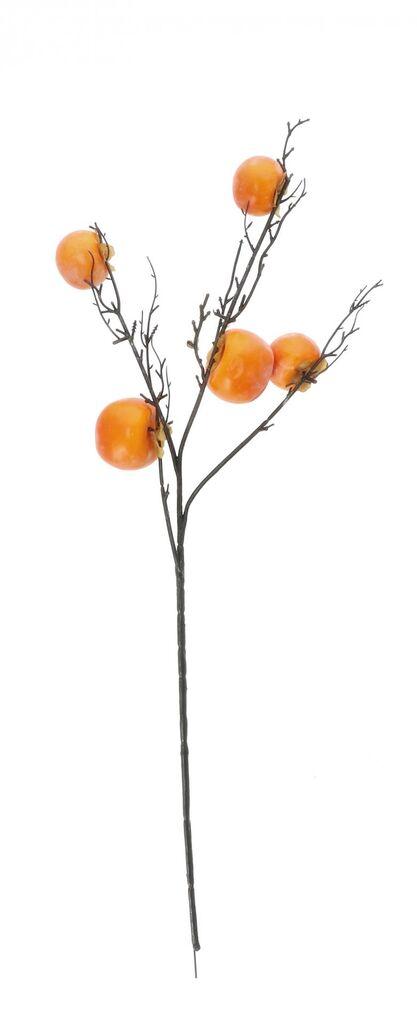 Ukrasna Grana Mandarine Cm90 112539