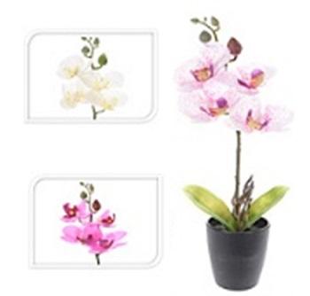 Koopman Vještačka biljka Orhideja 33cm u saksiji 14cm