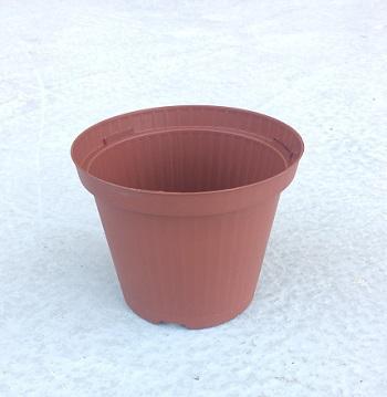 Nuova Pasquini e Bini Saksija plasticna 14x11,3cm 0,98Lit FLORI14TC