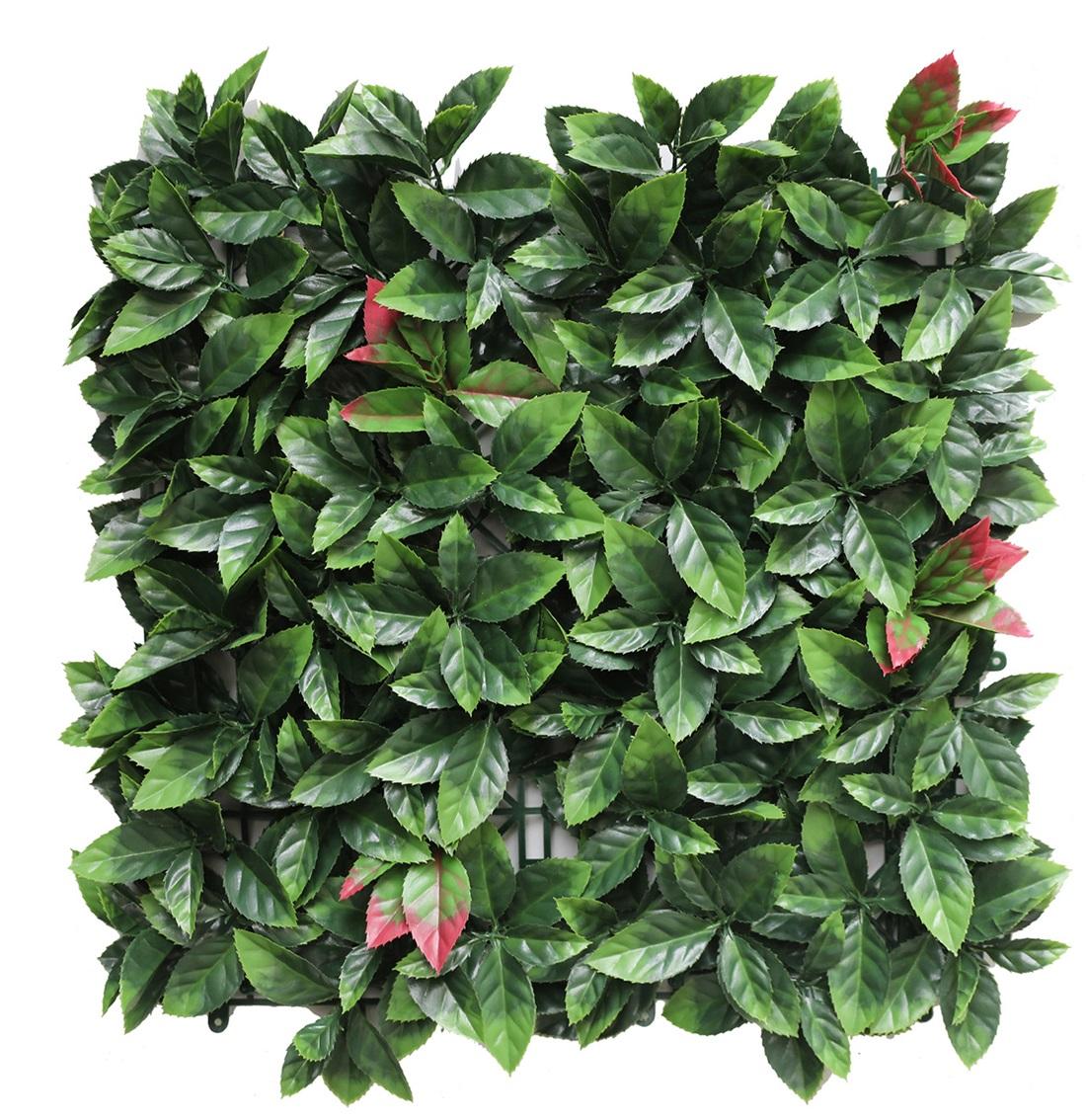 Maurer Zeleni zid ,vestacko zelenilo u tablama photinia 100x100cm