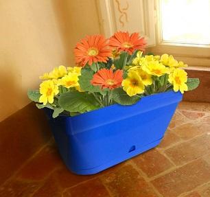 Nuova Pasquini e Bini Žardinjera 60x20x20cm LUNA Plava