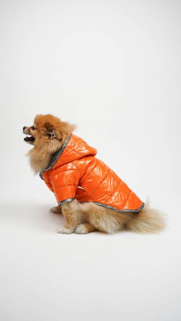 Odijelo za pse Paps & Whiskers Moncler, narančasto