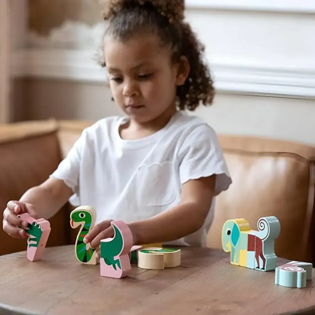 Vilac Magnetna Dzungla