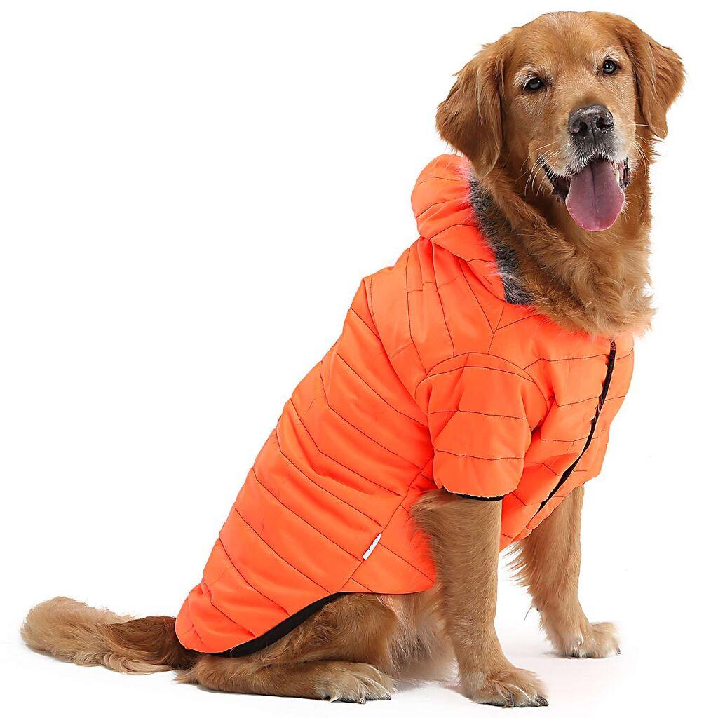 Odijelo za šape i brkove za pse Orangecoat, Narandžasta