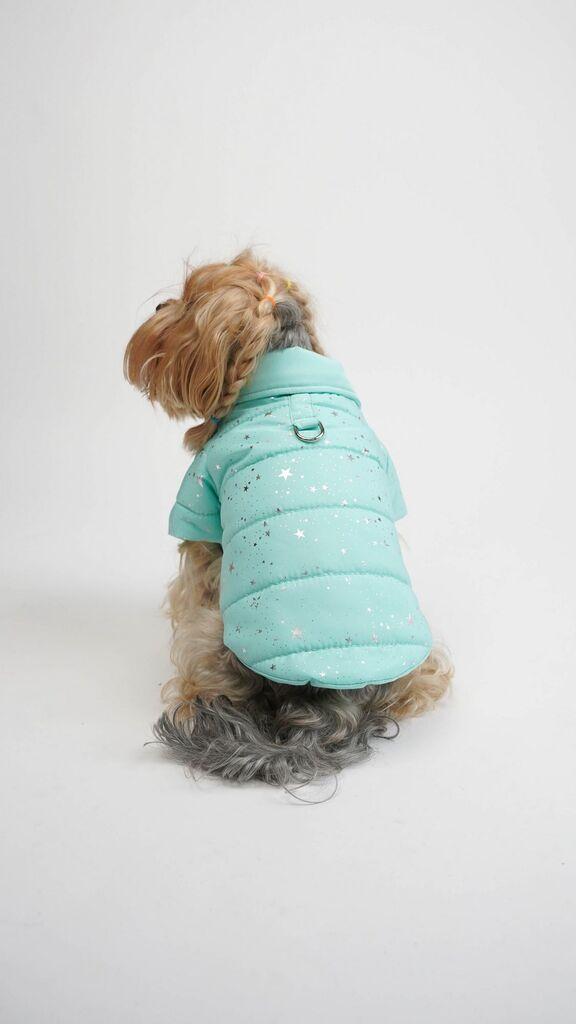 Paws & Whiskers Angel Glow kaput, plavi