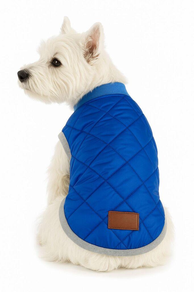 Odijelo Paws & Whiskers za pse Royalbluejacket, plavo