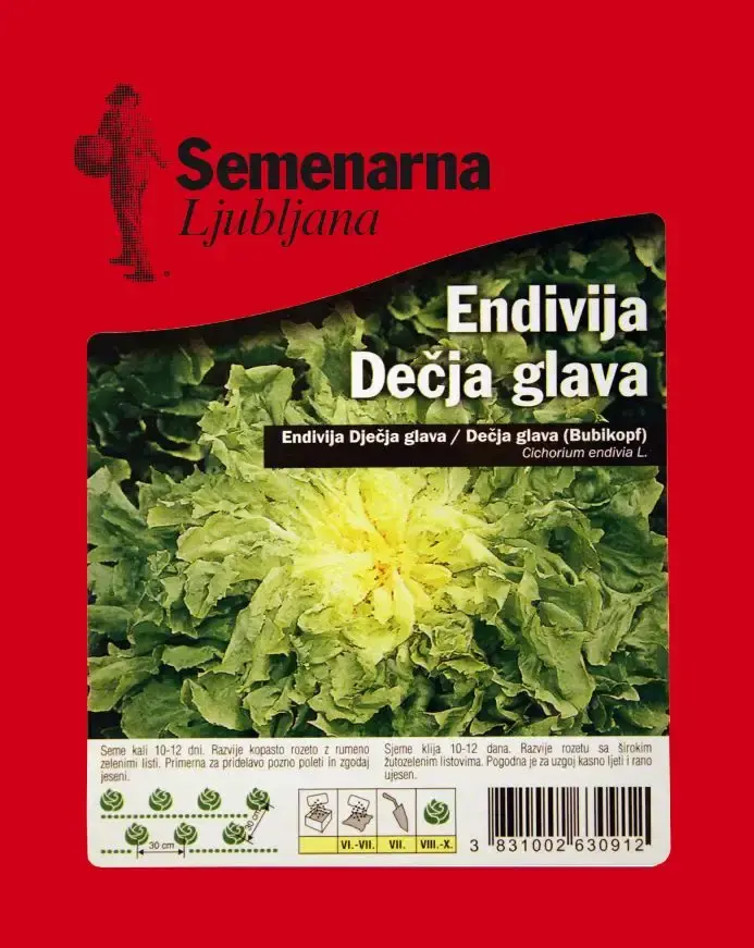 Semenarna Ljubljana Sjeme Endivija dečja glava, 50g
