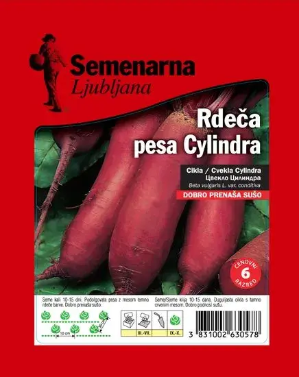 Semenarna Ljubljana Sjeme Cvekla cylindra, 50g