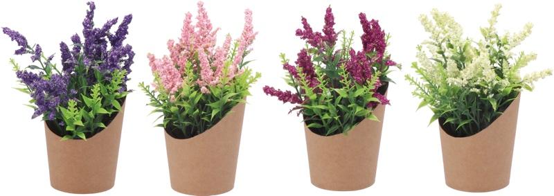 Cvijet Lavanda U Saksiji Ass4Col Diam85Xh16 85435