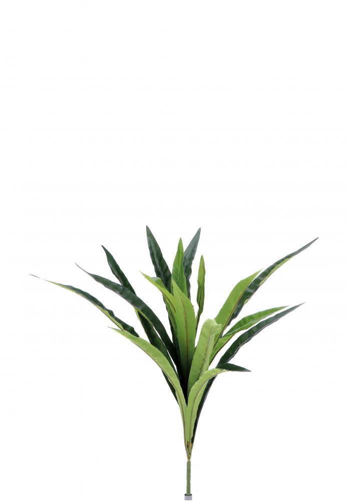 Cvijet Juka Cm58 82498