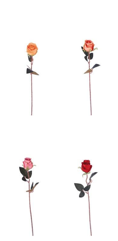 Cvijet Ukrasniruza Ass4Col Cm51 80044 Bez Boje